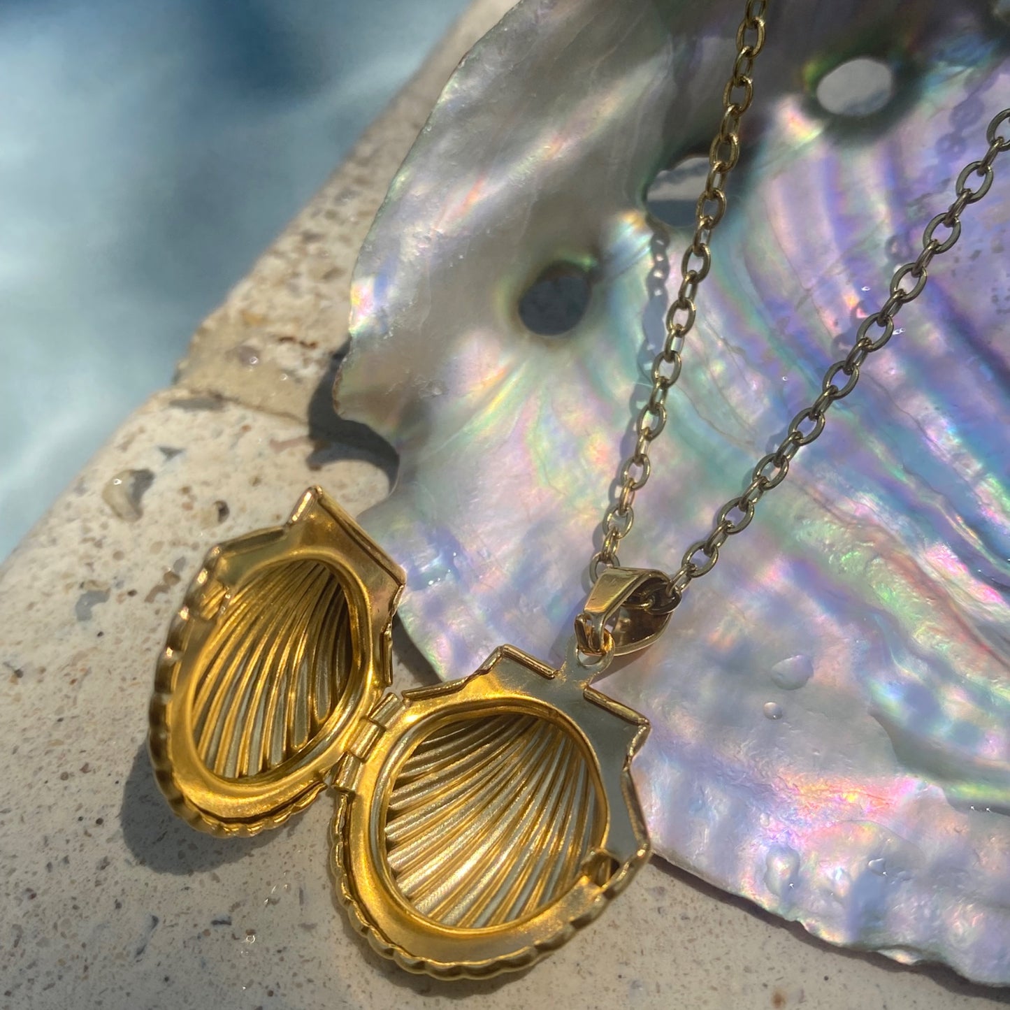 Sea shell necklaceđź’§