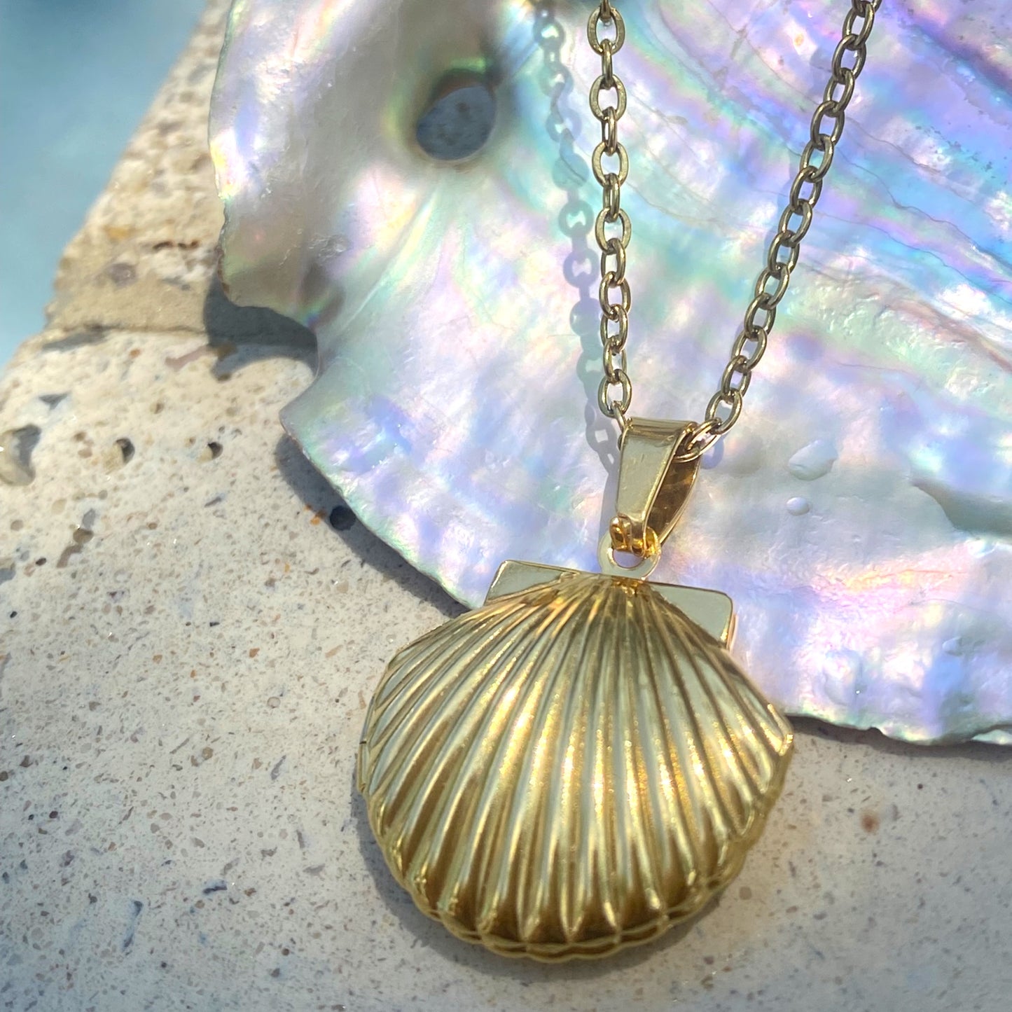 Sea shell necklaceđź’§